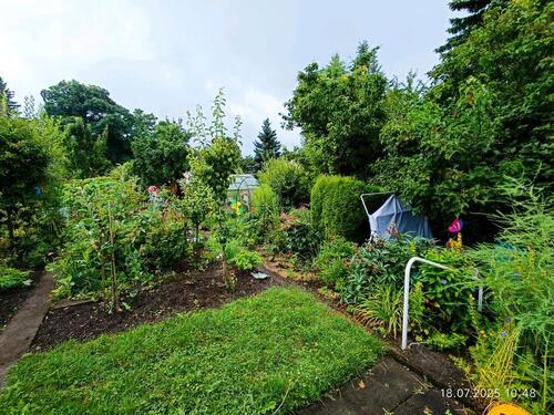 Foto - Kleingarten Schrebergarten abzugeben