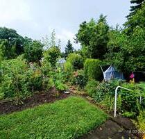 Kleingarten Schrebergarten abzugeben - Annaberg-Buchholz