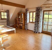 Helle 1,5 Zi Wohnung in Landsberg Erpfting f 2 Jahre zu vermieten - Landsberg am Lech Ellighofen