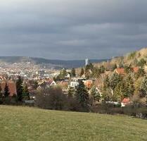 2025 umfassend saniertes Reihenendhaus mit angelegtem Garten - Jena Kernberge