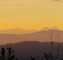 Einfamilienhaus mit 4 Zimmern und Garten in SteinenHägelberg mit