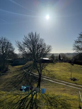 Foto - 3 Zimmer Erdgeschoßwohnung in Demmin