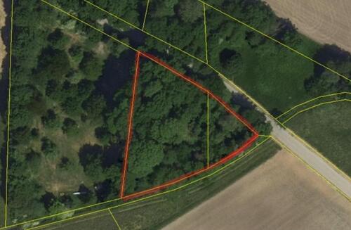 Foto - Waldgrundstück Forstfläche Gemarkung Sünching