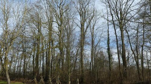 Foto - Grundstück in Mötzing