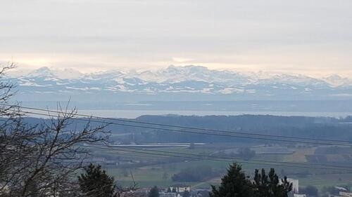 Foto - 3Zi. Penthouse Wohnung mit traumhaftem See-Bergblick in Markdorf