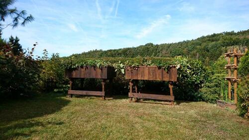 Foto - Einfamilienhaus in Dammbach zur Miete