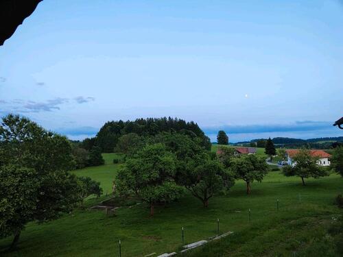 Foto - 