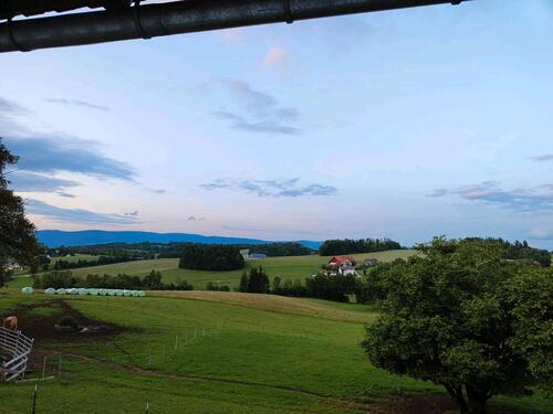Foto - Urlaub im Bayerischen Wald - 50,00 EUR Kaltmiete,