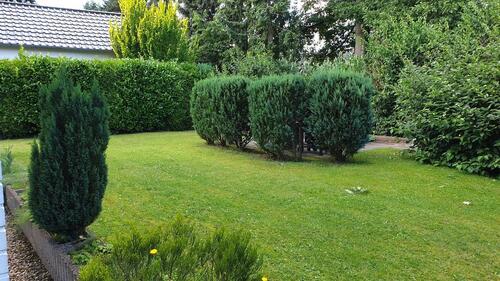 Foto - 2 Zimmer Etagenwohnung zur Miete in Buchholz in der Nordheide