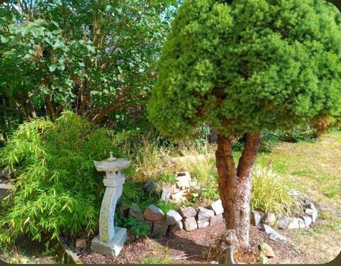 Foto - Einfamilienhaus zum Kaufen in Taura