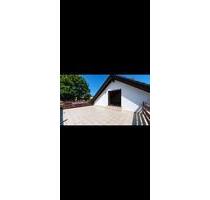 XXL Terrasse, neues Bad, Erstbezug nach Teilsanierung - Mannheim Herzogenried