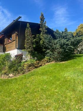 Foto - andere in Walkenried zur Miete