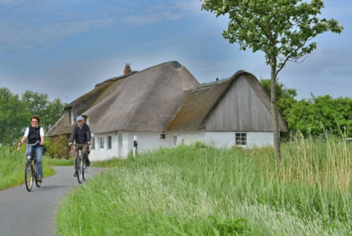 Foto - Grundstück und historische Fischerkate (DHH) auf Insel Pellworm