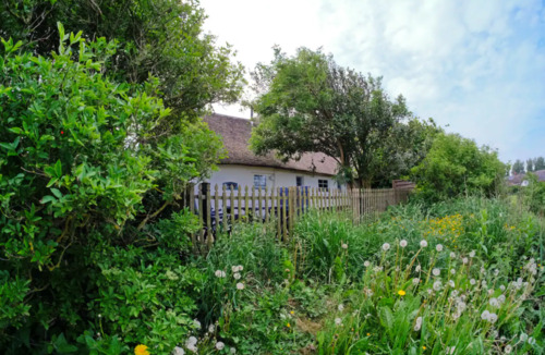 Foto - Einfamilienhaus zum Kaufen in Pellworm