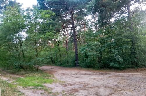 Foto - Einfamilienhaus zur Miete in Cottbus