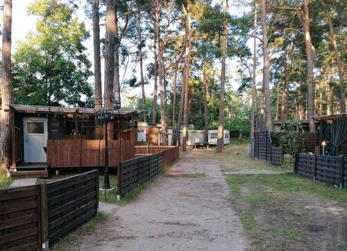 Foto - Einfamilienhaus in Cottbus zur Miete