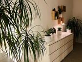 Foto - Etagenwohnung in Tastrup