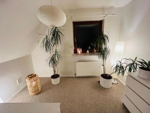 Foto - Etagenwohnung in Tastrup zur Miete