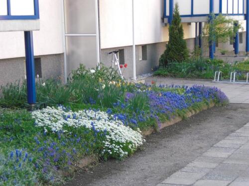 Foto - 2 Zimmer Etagenwohnung in Rötha