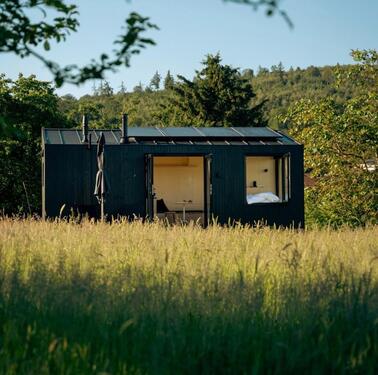 Foto - Häuschen im Wald 