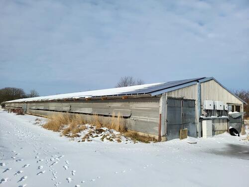 Foto - Lagerhalle zu verpachten Stallanlage