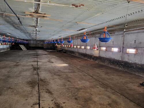 Foto - andere in Sundhagen zur Miete