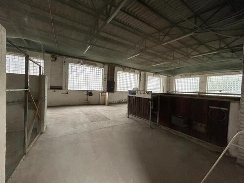 Foto - Etagenwohnung in Kirchheimbolanden zur Miete