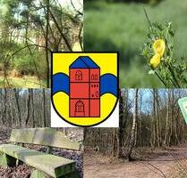 !!!Geräumige Altbau-Obergeschosswohnung in zentrumsnaher Lage in AschendorfEms!!! - Papenburg