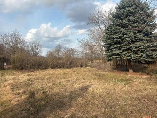 Foto - Grundst&uuml;ck zur Miete in Werder (Havel)