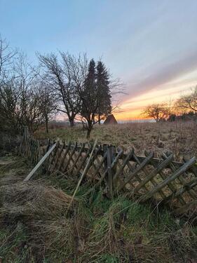 Foto - Garten Obstwiese Grundstück in Segelhorst zu verpachten
