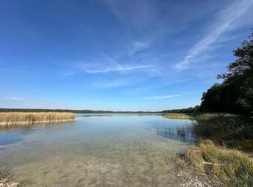 Foto - Erster Monat kostenlos! Einzigartiges Waldstück am Massower See