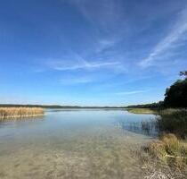 Erster Monat kostenlos! Einzigartiges Waldstück am Massower See - Eldetal