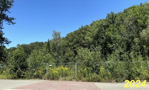 Foto - Grundst&uuml;ck zum Kaufen in Werdau