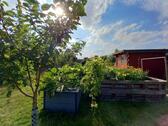 Foto - Grundstück in Husby