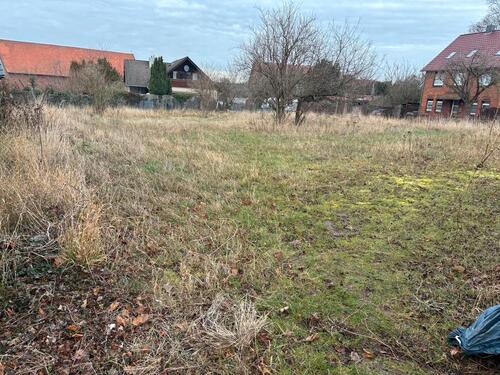 Foto - Weidefläche zu vermieten - 25,00&nbsp;EUR Kaltmiete, ca.&nbsp; 0,00&nbsp;m&sup2;