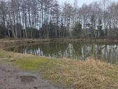 Foto - Angelteich Teich zu Verpachten - 2.000,00&nbsp;EUR Kaltmiete, ca.&nbsp; 20,00&nbsp;m&sup2;