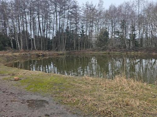 Foto - Angelteich Teich zu Verpachten - 2.000,00&nbsp;EUR Kaltmiete, ca.&nbsp; 20,00&nbsp;m&sup2;