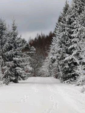 Foto - 3 Zimmer Wohnung - 650,00&nbsp;EUR Kaltmiete, ca.&nbsp; 90,00&nbsp;m&sup2;