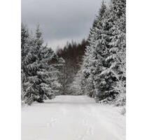 3 Zimmer Wohnung - 650,00&nbsp;EUR Kaltmiete, ca.&nbsp; 90,00&nbsp;m&sup2; in Edertal (PLZ: 34549)