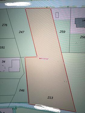 Foto - LandwirtschaftlichePferde Wiese (4400m2) zu vermieten