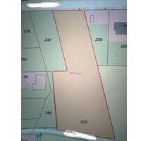 LandwirtschaftlichePferde Wiese (4400m2) zu vermieten - Hünxe