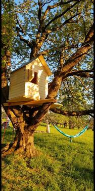 Foto - wunderschöne Streuobstwiese mit Baumhaus bei Owen