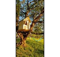 wunderschöne Streuobstwiese mit Baumhaus bei Owen