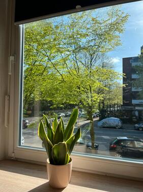 Foto - Erdgeschoßwohnung in Hamburg zur Miete