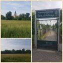 Foto - Grundstück zur Miete in Magdeburg