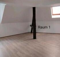 charmante renovierte 2 Raum-Wohnung im schönen Vogtland - Adorf/Vogtland