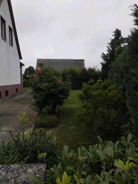 Foto - 