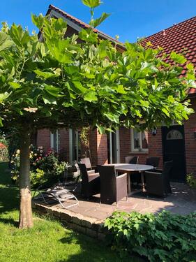 Foto - 8 Zimmer Einfamilienhaus in Schöppingen