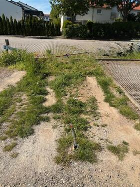 Foto - Parkplatz ab August 2026 zu vermieten