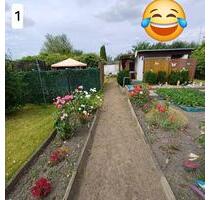 Pachtgarten ,„Flora e.V. - 700,00 EUR Kaltmiete, ca.  0,00 m² in Dessau-Roßlau (PLZ: 06847)